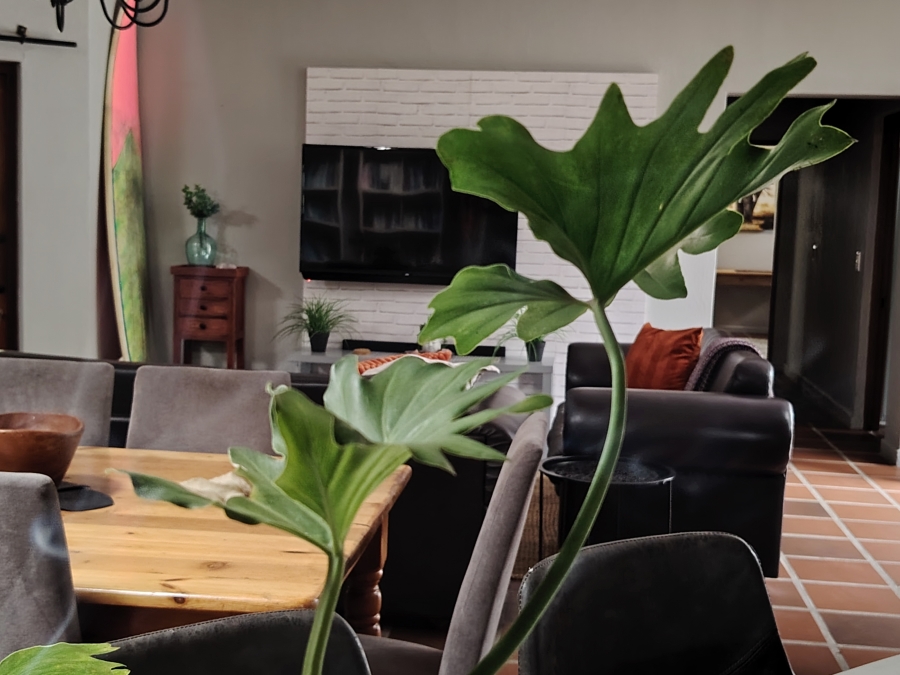 1 Bedroom Property for Sale in Whale Rock Western Cape